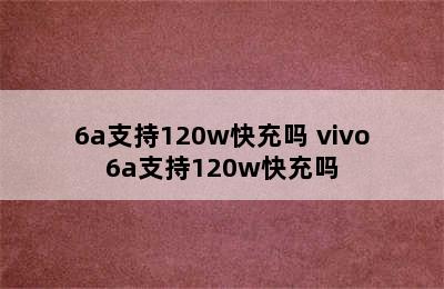 6a支持120w快充吗 vivo6a支持120w快充吗